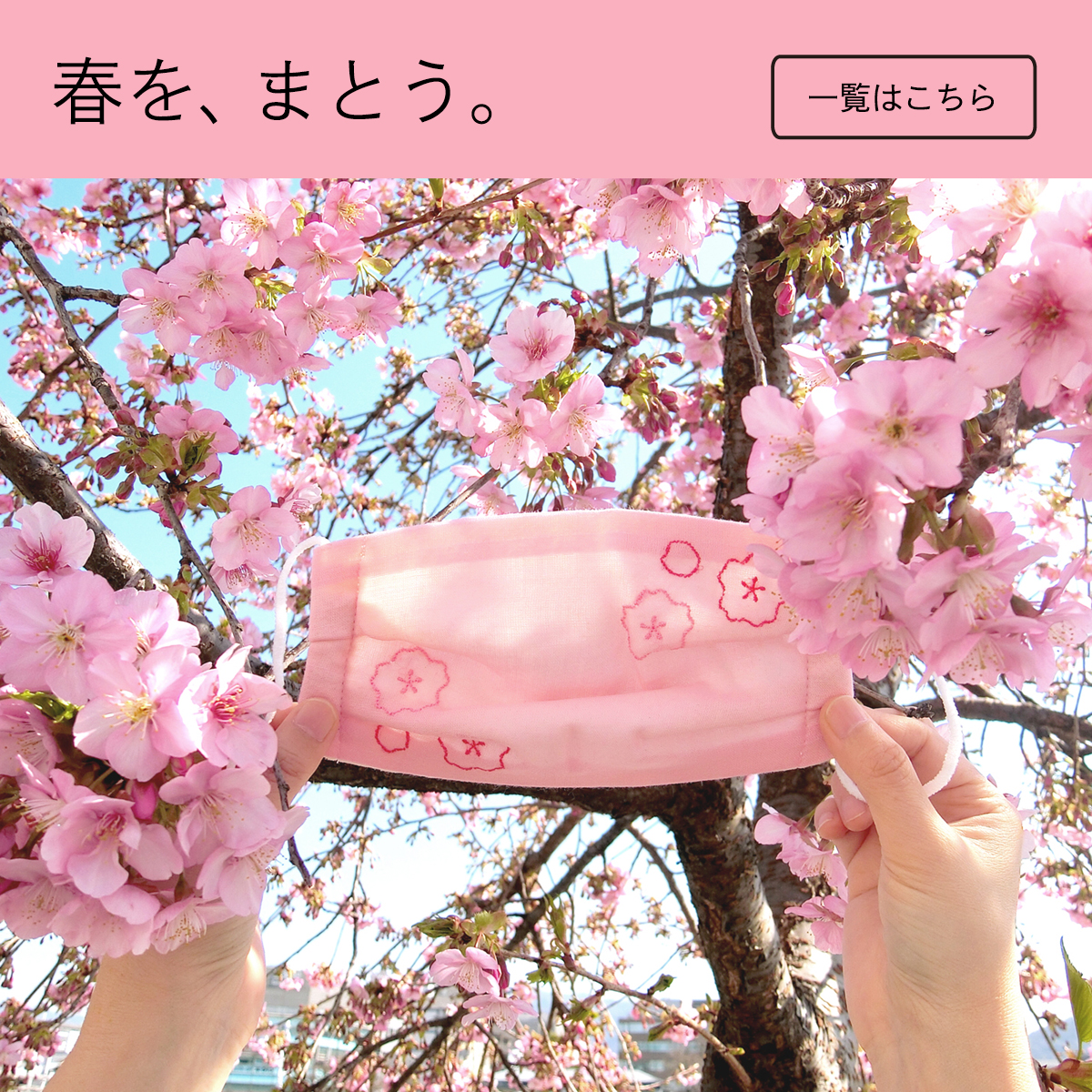 さくら