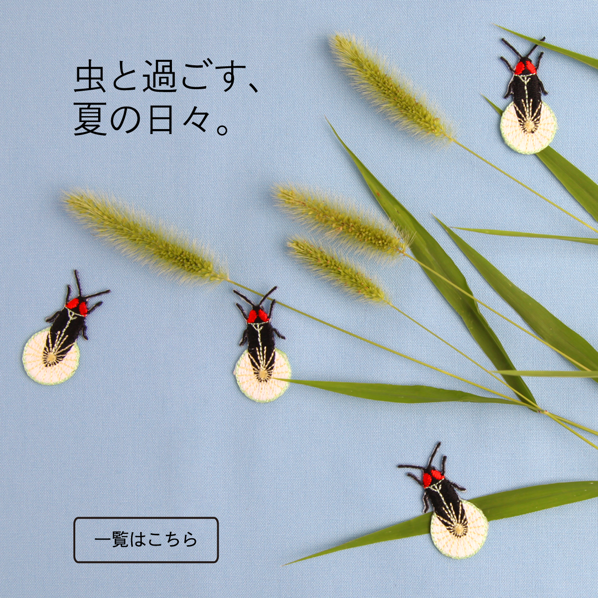 虫